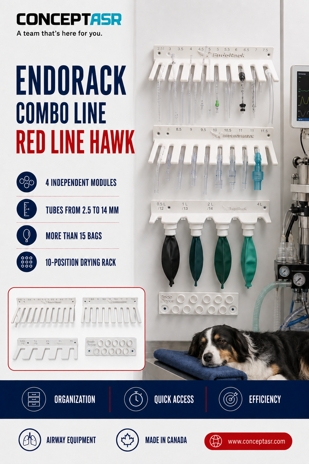 EndoRack Combo Line veterinary wall organizer for endotracheal tubes and anesthesia reservoir bags