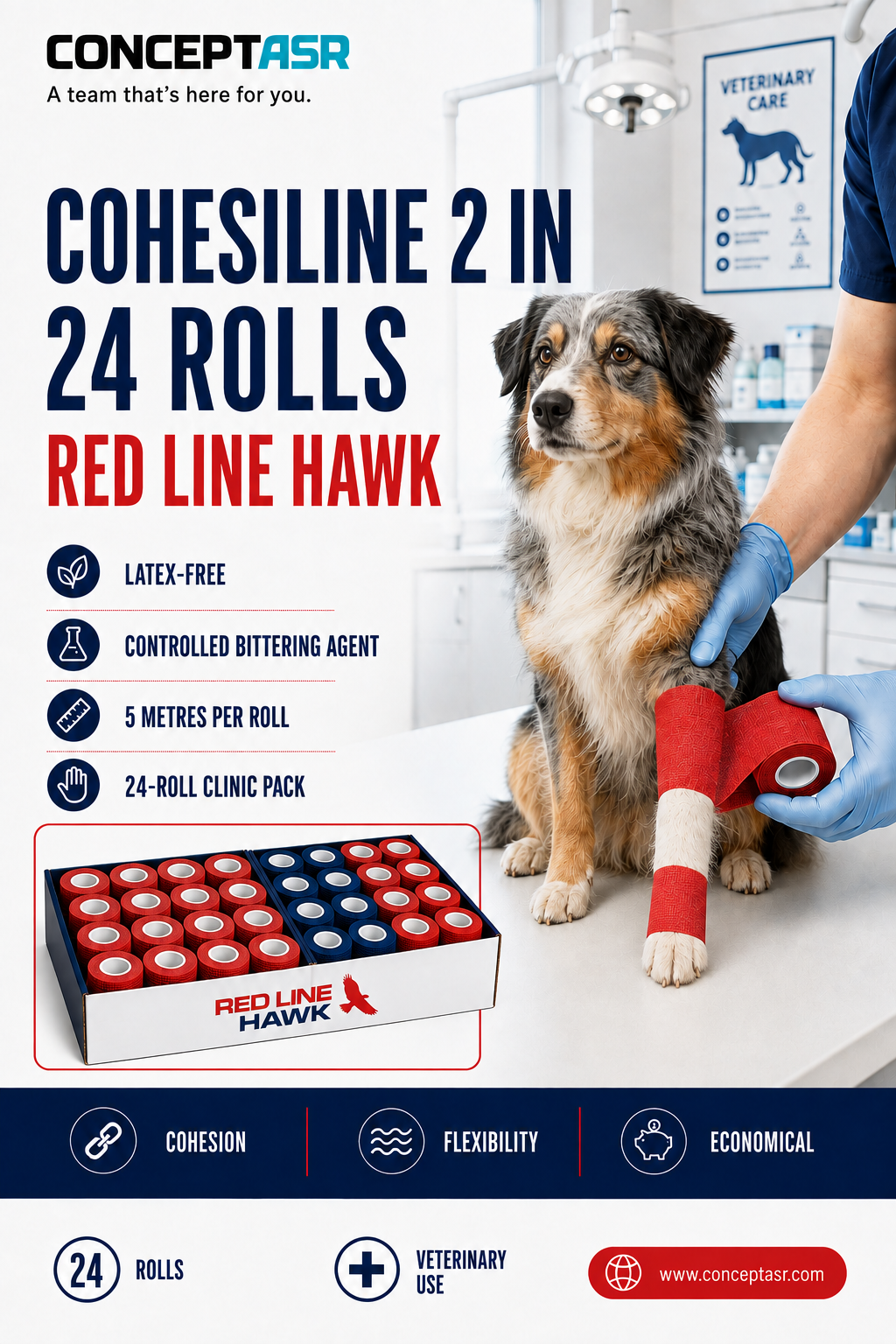 CohesiLine 2-inch veterinary bandage clinic pack containing 24 rolls