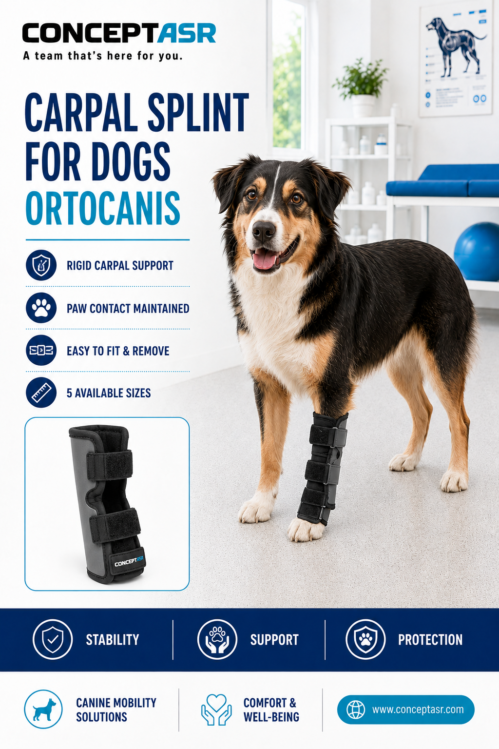 Dog wearing an Ortocanis carpal splint on a front leg