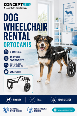 Dog Wheelchair Rental by Ortocanis in Canada for seven days with an adjustable rear-support frame