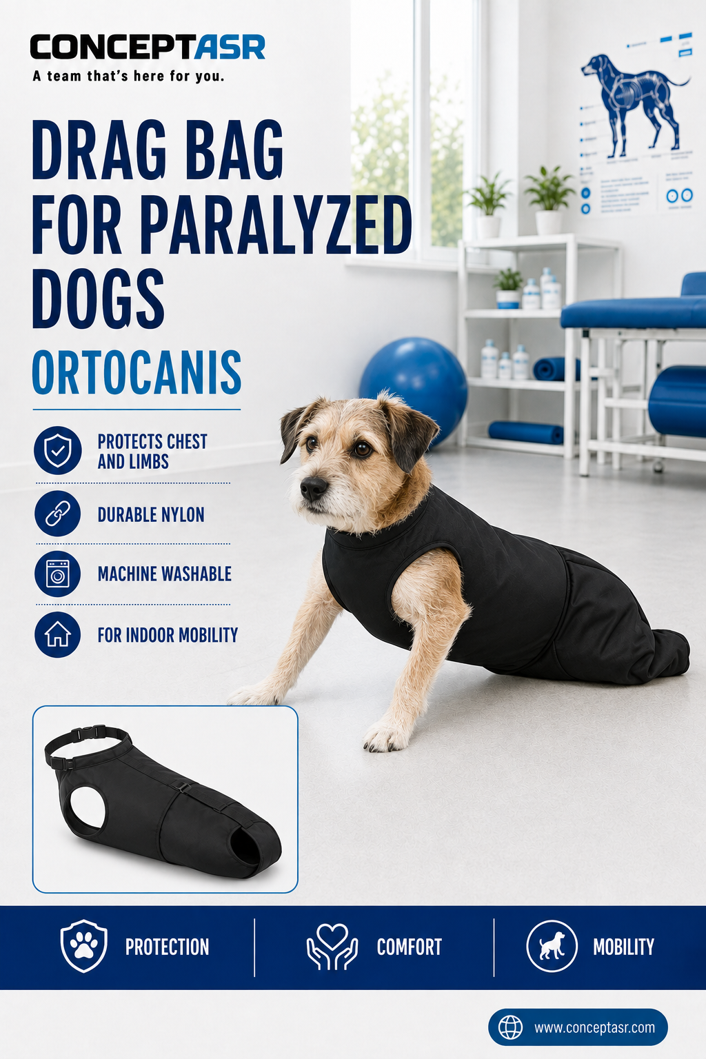 Dog wearing an Ortocanis drag bag for paralyzed dogs