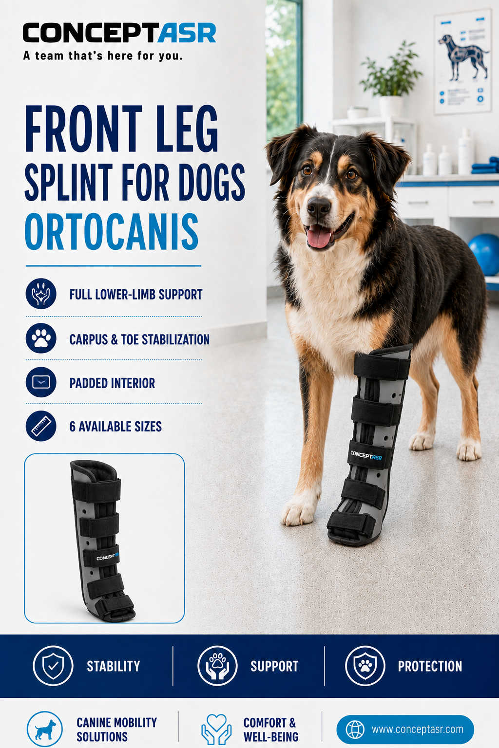 Dog wearing an Ortocanis front leg splint