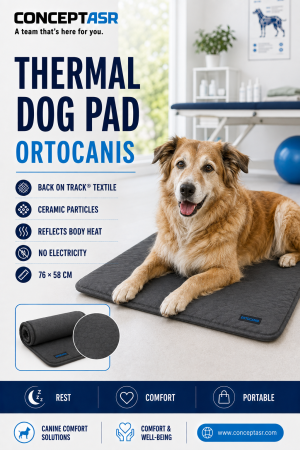 Senior dog resting on an Ortocanis thermal dog pad
