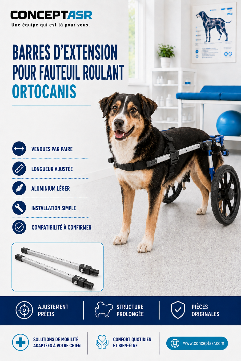 Paire de barres d’extension en aluminium pour fauteuil roulant Ortocanis installé sur un chien.