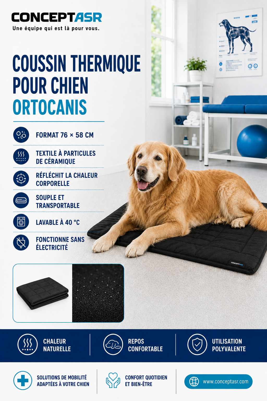 Chien âgé couché sur un coussin thermique Ortocanis noir de 76 × 58 cm fonctionnant sans électricité.