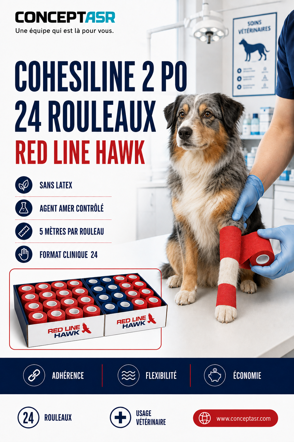 Bandage cohésif vétérinaire CohesiLine 2 po Red Line Hawk en boîte de 24 rouleaux