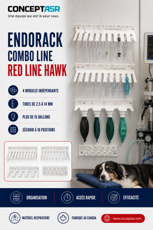 Support mural vétérinaire EndoRack Combo Line pour tubes endotrachéaux et ballons d’anesthésie