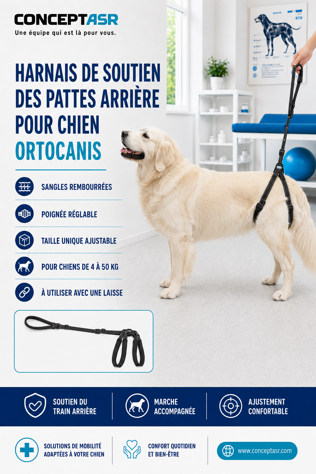 Harnais de soutien des pattes arrière pour chien Ortocanis avec poignée réglable